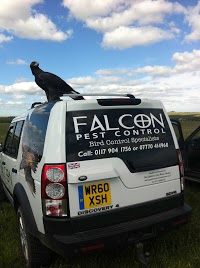 Falcon Pest Control Ltd 374211 Image 0